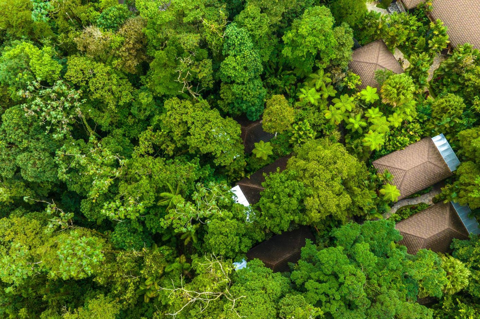 Hideaway Rio Celeste Hotel Bijagua Ngoại thất bức ảnh