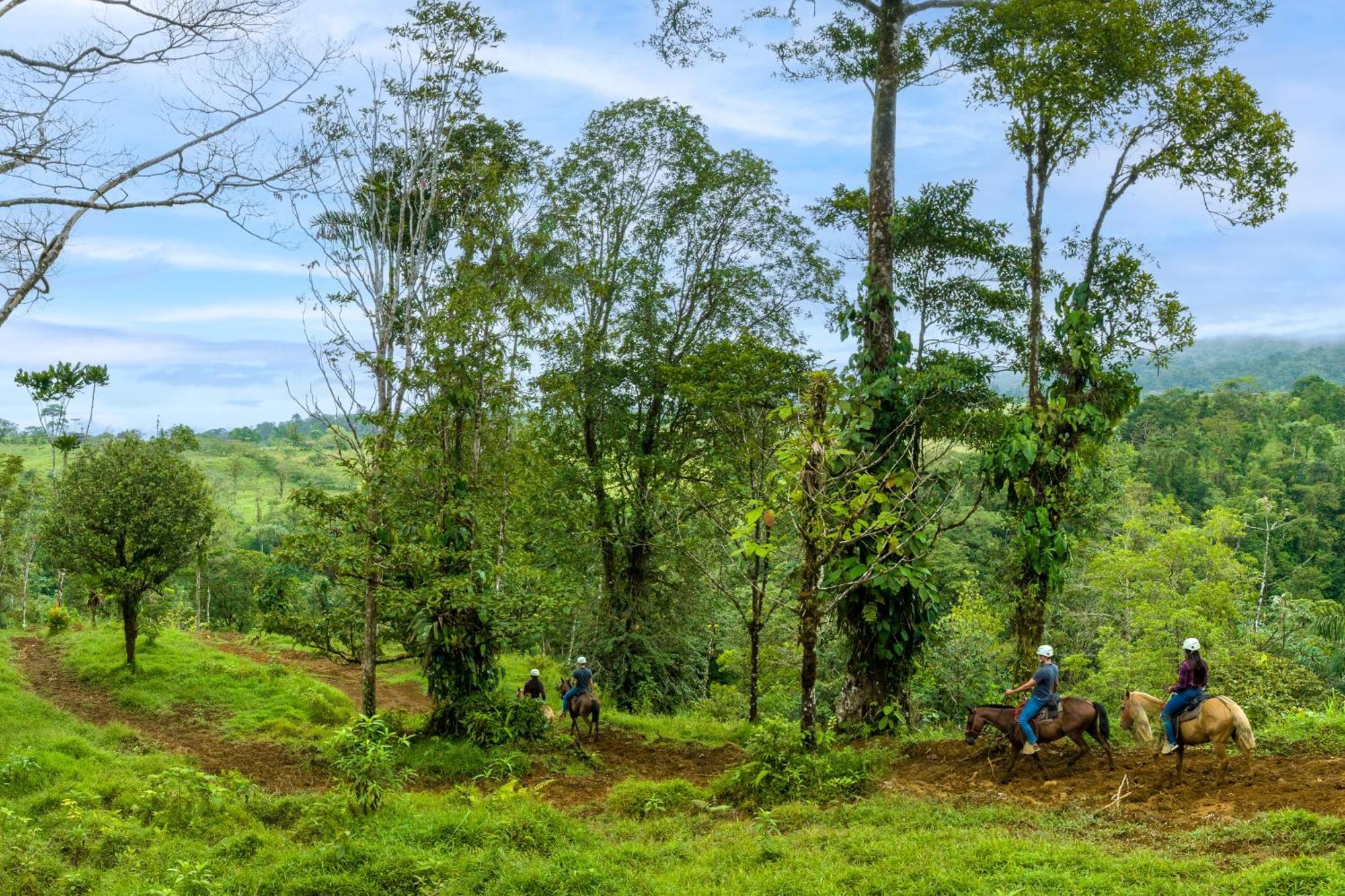 Hideaway Rio Celeste Hotel Bijagua Ngoại thất bức ảnh